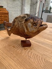 Ausgestopfter piranha holzsock gebraucht kaufen  Elsdorf