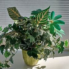 Artificial ivy green for sale  Brandon