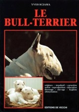 Bull terrier yves d'occasion  Hennebont