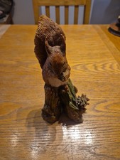 Rare teviotdale squirrel for sale Rare teviotdale squirrel for sale  SIDMOUTH