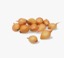 Cipolla dorata stoccarda usato Cipolla dorata stoccarda usato  Rotonda