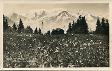 Carte flore alpine d'occasion  Genillé