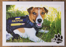 Patron minensuchhund minesweep gebraucht kaufen  Dortmund