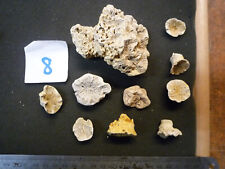 Coraux corail baroniseris d'occasion  Esbly