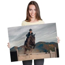 Equestrian competition horse for sale  SELBY