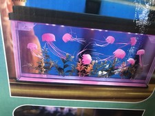 Ocean jelly fish for sale  NEWTON ABBOT