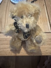 Canterbury bears 1986 for sale  SHEPPERTON