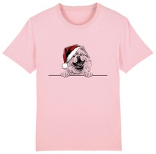 Chow chow christmas for sale  PONTYPRIDD