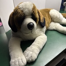 Huge st. bernard for sale  Saint Clair
