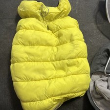 Rufus rosie yellow for sale  PETERBOROUGH