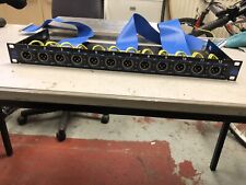 Klotz msd female for sale  BRADFORD