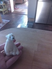 Quarry critters paulie for sale  HUNTINGDON