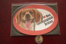 Grand magnet chien d'occasion  Buzançais