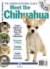 Meet chihuahua american for sale  Aurora