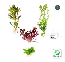 Starting mixed bundle for sale  LEAMINGTON SPA