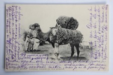 Carte postale ancienne d'occasion  Seyssel