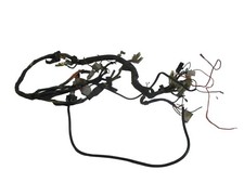 Kabelbaum honda 750 gebraucht kaufen  Ellwangen (Jagst)