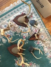Mounted unmounted white for sale  Downingtown