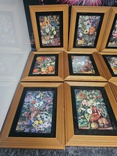 Coalport royal botanic for sale  FAREHAM