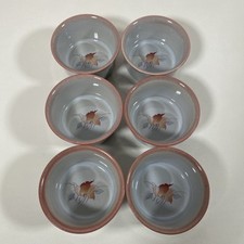 Set denby twilight for sale  YORK