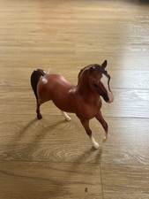 Arabian stallion red for sale  TUNBRIDGE WELLS
