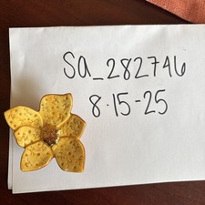 Broken stem chips for sale  Noblesville