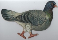 The pigeon mechanical d'occasion  Expédié en Belgium