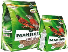 Cardinal mangime completo usato  Roma