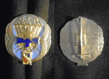 Insigne militaire cie d'occasion  Meung-sur-Loire
