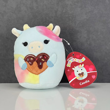 Squishmallows caedia valentine for sale  ROTHERHAM