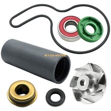 Water pump rebuild for sale  USA