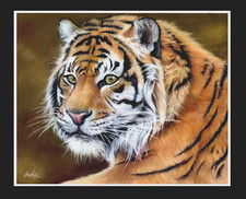 Original pastel painting for sale  RUNCORN