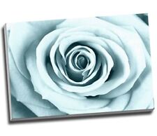 Duck egg rose for sale  LONDON