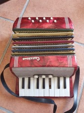 Fisarmonica vintage beginner usato  Monguzzo