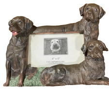 chocolate lab framed picture for sale chocolate lab framed picture for sale Lambertville