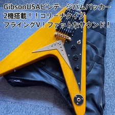 Gibson EUA Vintage Humbucker Equipado Flying V Tipo Colina, usado comprar usado  Enviando para Brazil