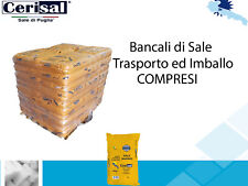 Sale per disgelo usato  Cerignola