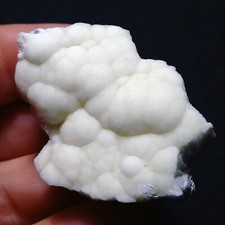 D61 rara insolita usato  Italia