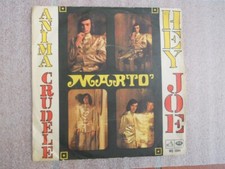 Marto hey joe usato  San Giovanni Lupatoto