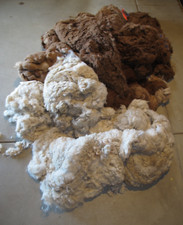 brown white for sale  Aurora
