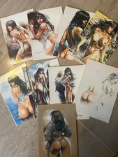 Serpieri druuna cartoline usato  Torino