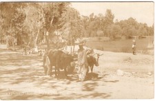 Usado, CARTÃO POSTAL DO MÉXICO - MORELIA, CARRINHO DE BOI, LINDA FOTO REAL comprar usado  Enviando para Brazil