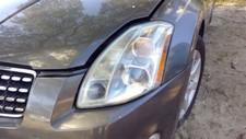 Driver headlight xenon for sale  Defuniak Springs