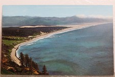 Oregon coast manzanita d'occasion  Expédié en Belgium