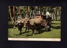 Costa rica hauling for sale  Montville