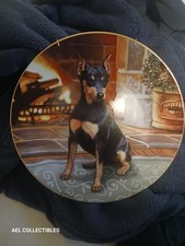 Mini doberman dog for sale  Salt Lake City