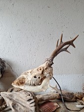 Gothic decor creepy for sale  SIDMOUTH