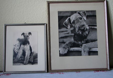 Fotokunst kunst fotografie gebraucht kaufen  Meitingen