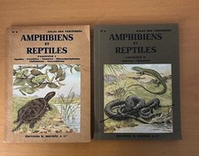 Atlas vertèbres amphibiens d'occasion  Saint-Raphaël