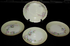 Rosenthal hand painted for sale  Tonawanda